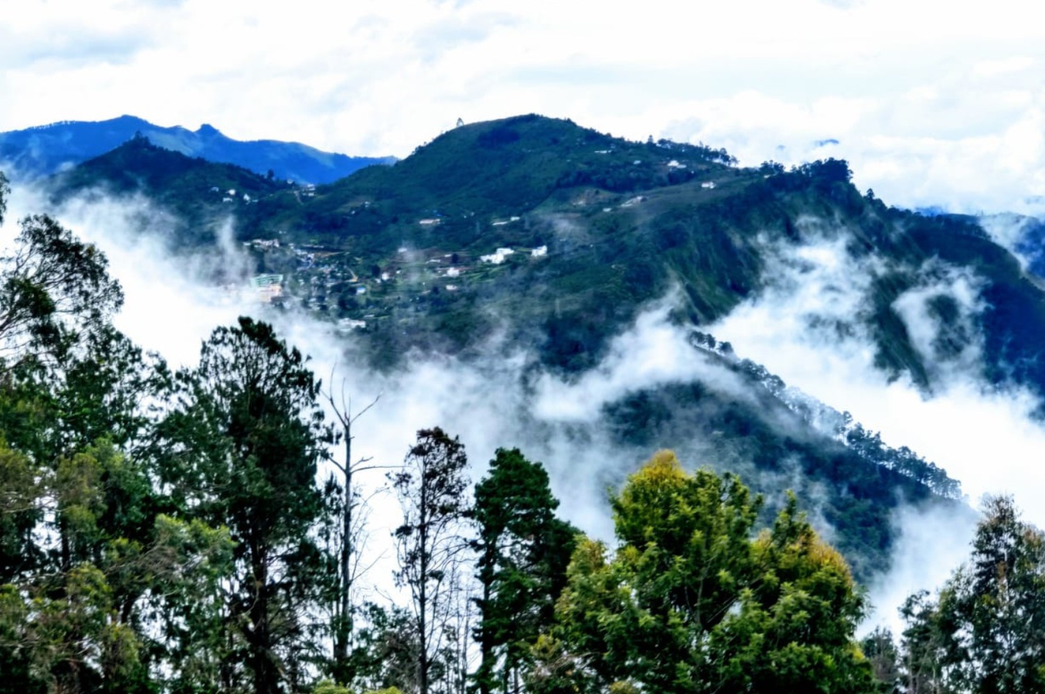 Resorts in Vattakanal