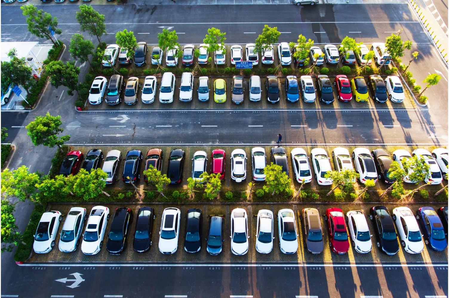 Resorts in Vattakanal